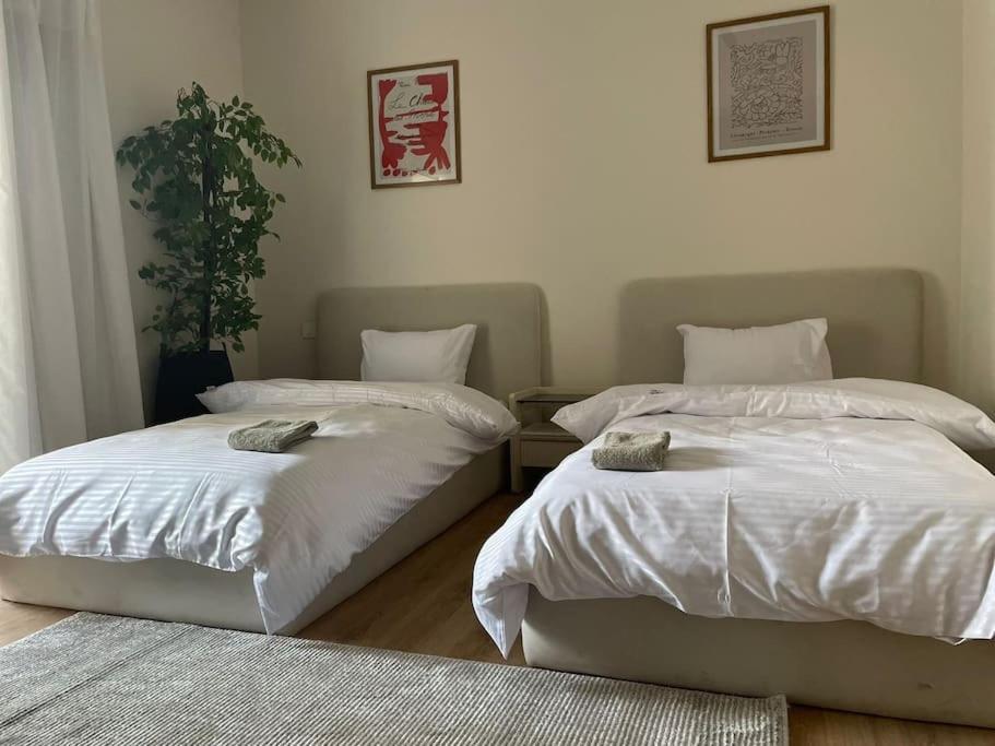 3 Bedroom In Cairo Festival City 外观 照片